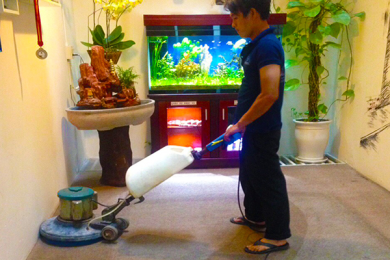 GIẶT THẢM VĂN PHÒNG TPHCM